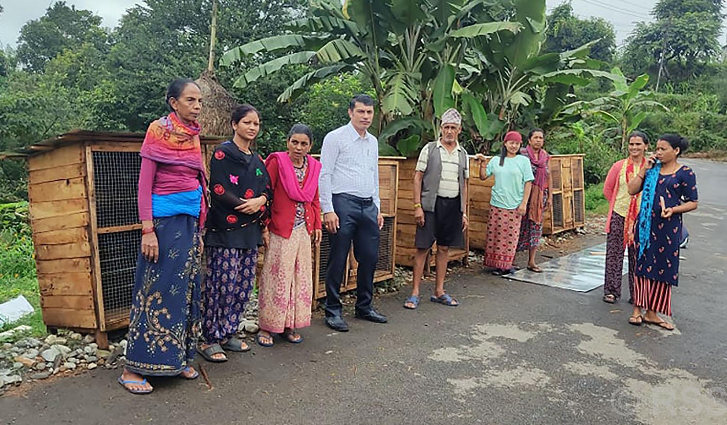 तनहुँको शुक्लागण्डकी नगरपालिका–६, दरगामका किसानलाई वडा कार्यालयले प्रदान गरेको कुखुराको खोर ।  तस्बिर / कृष्ण न्यौपाने/रासस