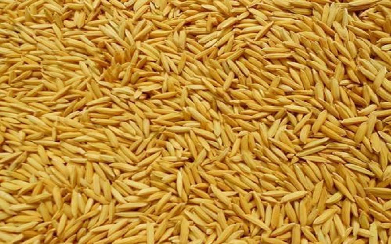समर्थन मूल्य कार्यान्वयन गर्न आग्रह