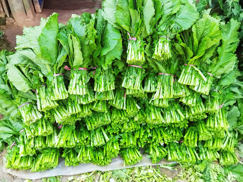 एक वर्षमा नौ करोड ८४ लाख १४ हजार बराबरको सागसब्जी निर्यात